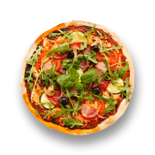 A plate of pizza